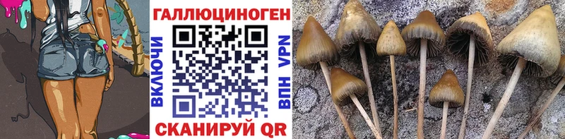 Псилоцибиновые грибы Cubensis  кракен онион  Добрянка 