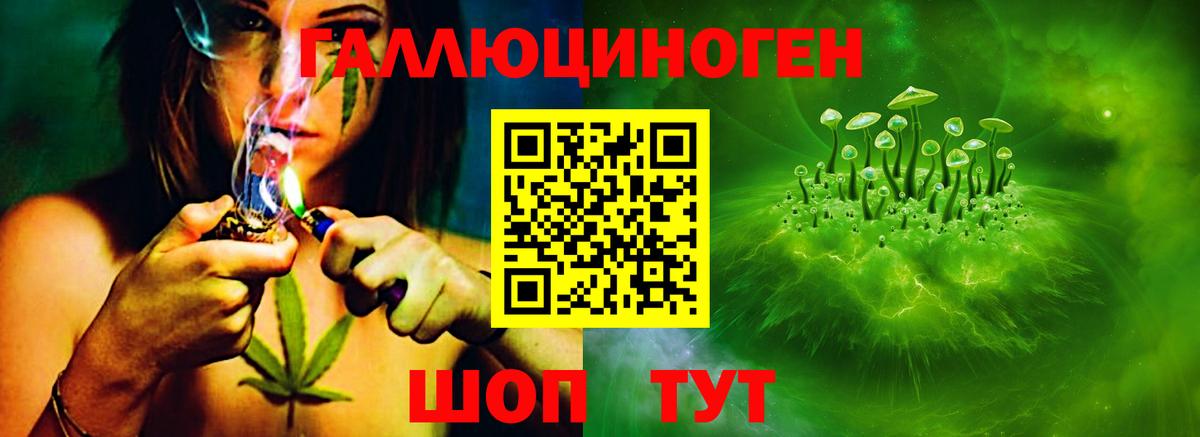 Галлюциногенные грибы Cubensis  Добрянка 